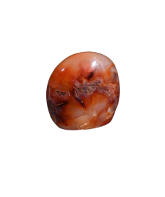 Image d'une forme libre en cornaline