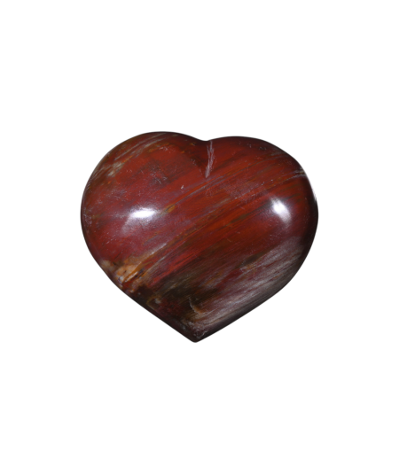 Image d'un coeur en bois fossilisé (bois pétrifié).