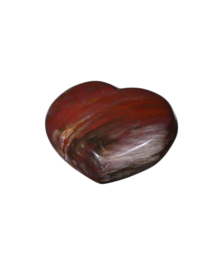 Image d'un coeur en bois fossilisé (bois pétrifié).