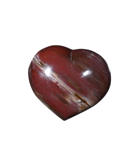 Image d'un coeur en bois fossilisé (bois pétrifié).