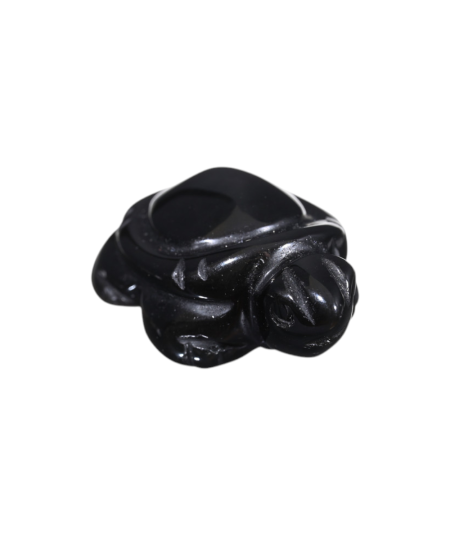 Tortue en obsidienne noire