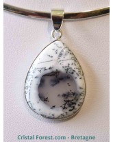 Agate dendrite