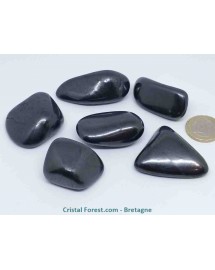 shungite