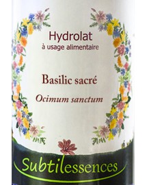 Basilic sacré - Ocimum sanctum
