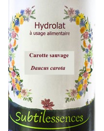 Hydrolat Carotte sauvage-Daucus carota