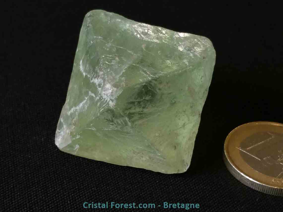 10% Sphère / Boule en Cristal de roche - Purification et énergie – Jardin  des Druides