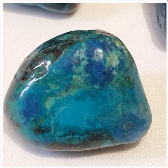 Le Chrysocolle