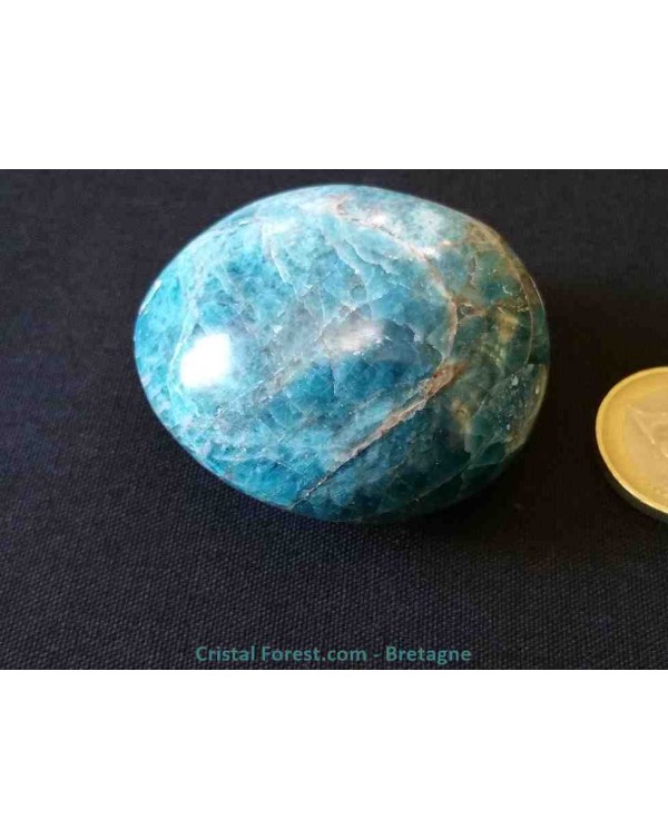 apatite pour maigrir