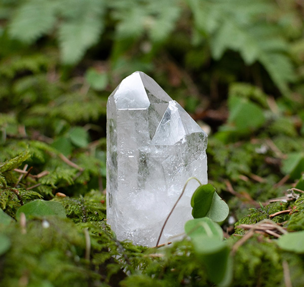 Coffret 3 Minéraux - Cristal de Roche, Améthyste, Pyrite - Cristaux Pierres  Naturelles Collection